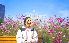 麻花豆传媒剧国产MV天美